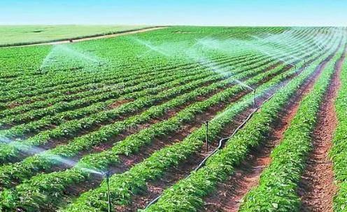 女人骚逼农田高 效节水灌溉